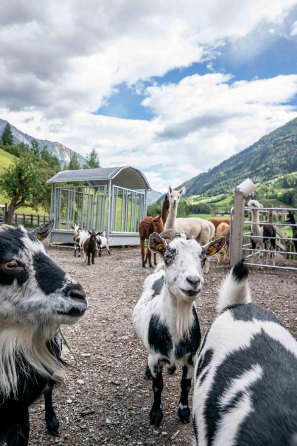 Ruggenthalerhof Daire Matrei in Osttirol Dış mekan fotoğraf